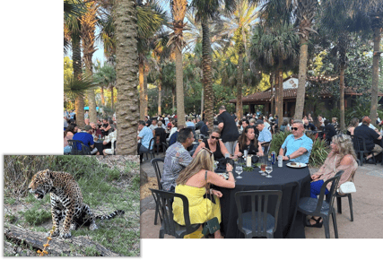 ZOO JAX
